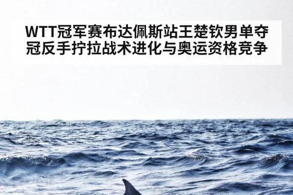 WTT冠军赛布达佩斯站王楚钦男单夺冠反手拧拉战术进化与奥运资格竞争（jiuyou game）