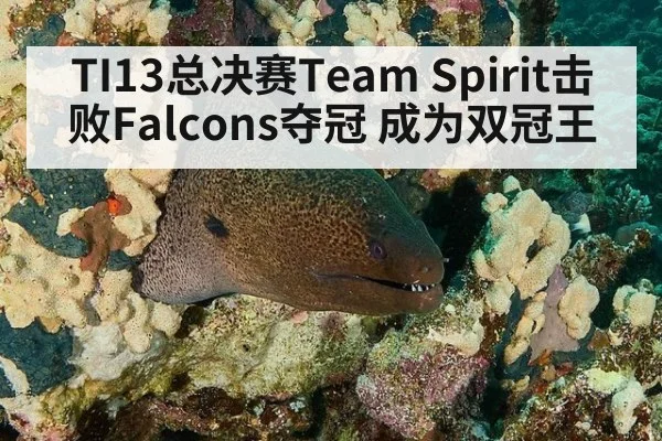 TI13总决赛Team Spirit击败Falcons夺冠 成为双冠王（jiuyou game）